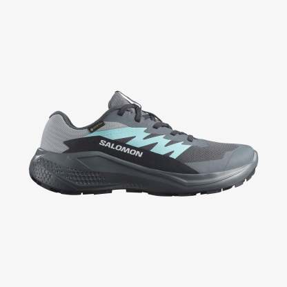 Salomon ALPHAGLIDE GORE-TEX Kadın Koşu Ayakkabısı Turbulence L47802500 - Turbulence - L47802500 - image 1