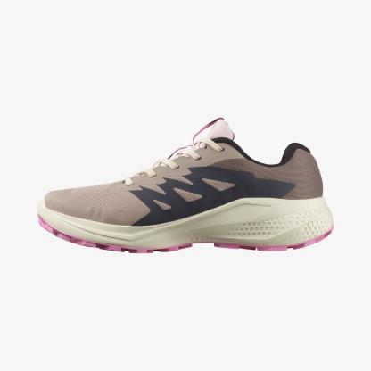 Salomon ALPHAGLIDE GORE-TEX Kadın Koşu Ayakkabısı Phantom L47802400 - Etherea - L47857900 - image 2