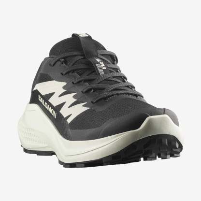 Salomon ALPHAGLIDE Kadın Koşu Ayakkabısı Tapioca L49092800 - L47801500 - L47801500 - image 4