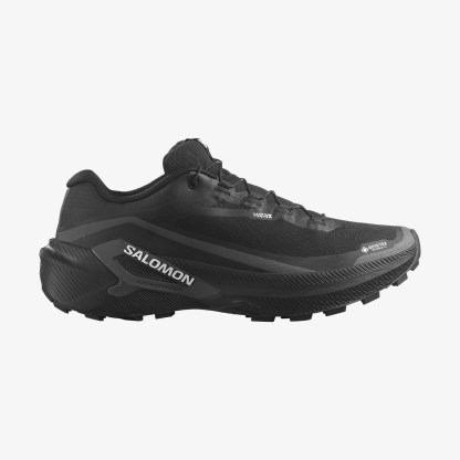 Salomon GENESIS 2 GORE-TEX Erkek Koşu Ayakkabısı Grape Leaf L49301900 - Black - L49300300 - image 1