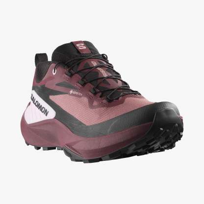 Salomon GENESIS GORE-TEX Kadın Koşu Ayakkabısı Black L47862800 - Rose Taupe - L47588900 - image 4