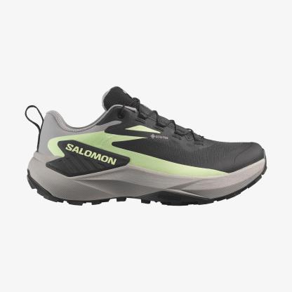 Salomon GENESIS GORE-TEX Kadın Koşu Ayakkabısı Cyclamen L47862900 - Black [L47862800] - L47862800 - image 1