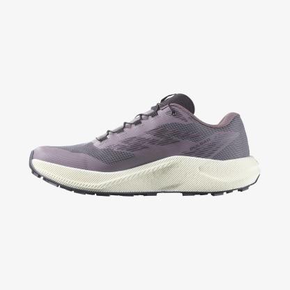 Salomon PULSAR Kadın Koşu Ayakkabısı Excalibur L47975500 - Excalibur - L47975500 - image 3