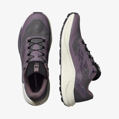 Salomon PULSAR Kadın Koşu Ayakkabısı Excalibur L47975500 - Excalibur - L47975500 - image 2
