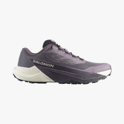 Salomon PULSAR Kadın Koşu Ayakkabısı Excalibur L47975500 - Excalibur - L47975500 - image 1