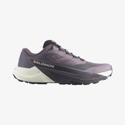 Salomon PULSAR Kadın Koşu Ayakkabısı Brunnera Blue L49230200 - Excalibur - L47975500 - image 1
