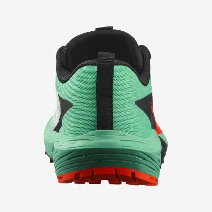 Salomon Sense Ride 5 Kadın Koşu Ayakkabısı - Yeşil - Yeşil - L47698300 - image 6