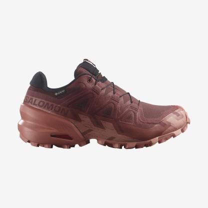 Salomon Speedcross 6 Gore-Tex Kadın Koşu Ayakkabısı - Pembe - Kırmızı - L47584300 - image 1