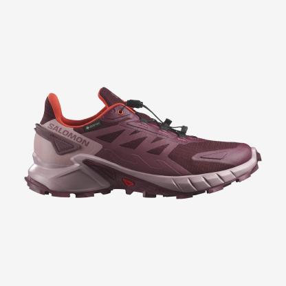 Salomon SUPERCROSS 4 GORE-TEX Kadın Koşu Ayakkabısı Nine Iron L47976100 - Bordo - L47594500 - image 1