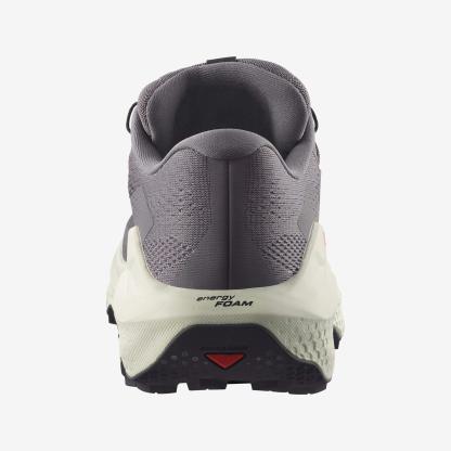 Salomon ULTRA GLIDE 3 Erkek Koşu Ayakkabısı Almond Milk L47874300 - Gri Erkek Koşu Ayakkabısı - L47742100 - image 5
