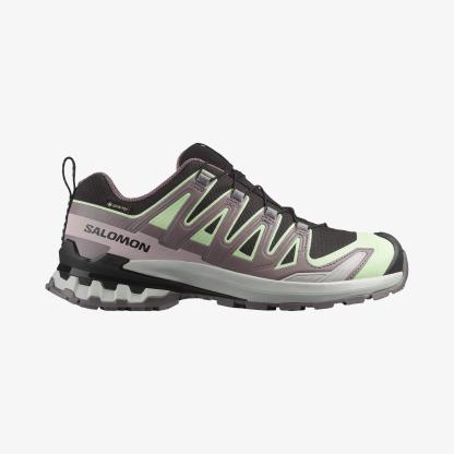 Salomon XA PRO 3D V9 GORE-TEX Kadın Outdoor Ayakkabı Black L47882300 - Black - L47882300 - image 1