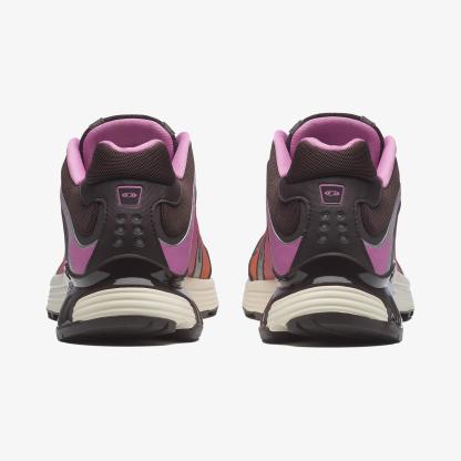 Salomon XT-WHISPER Unisex Sneaker Silver Sage L49238100 - Cyclamen - L47878700 - image 4