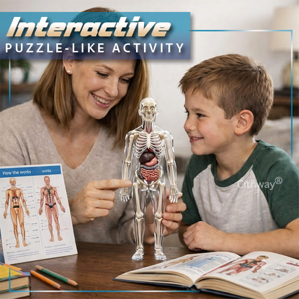 🔥🔥Black Friday Special DEAL!!!🔥🔥Detachable Clear-View Human Anatomy