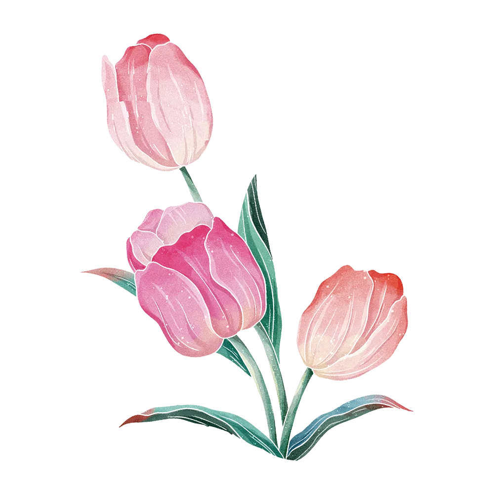 tulip