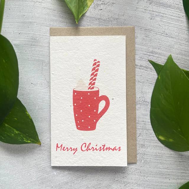 Last Day Up To 80% OFF🌱 Plantable Christmas Cards🌼Send blessings and plant a hope