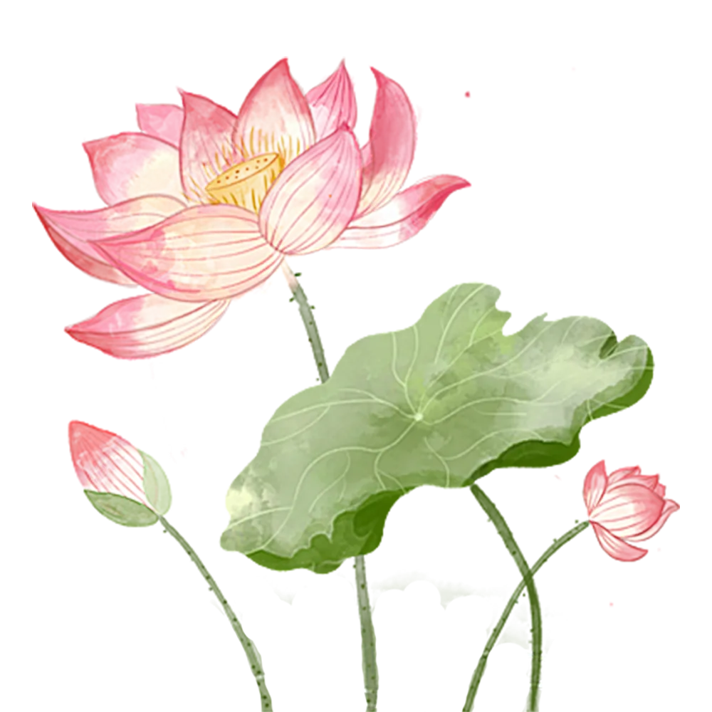 lotus