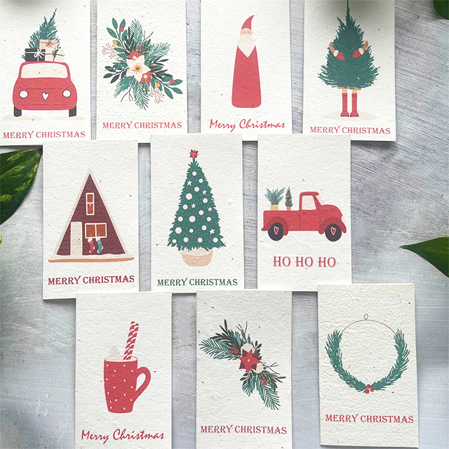 🎄Buy 5 Get 5 Free Today🌱 Christmas Plantable Seed Cards