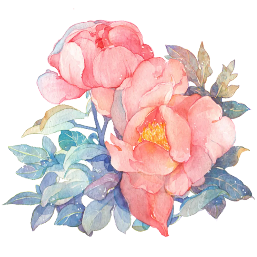 peony