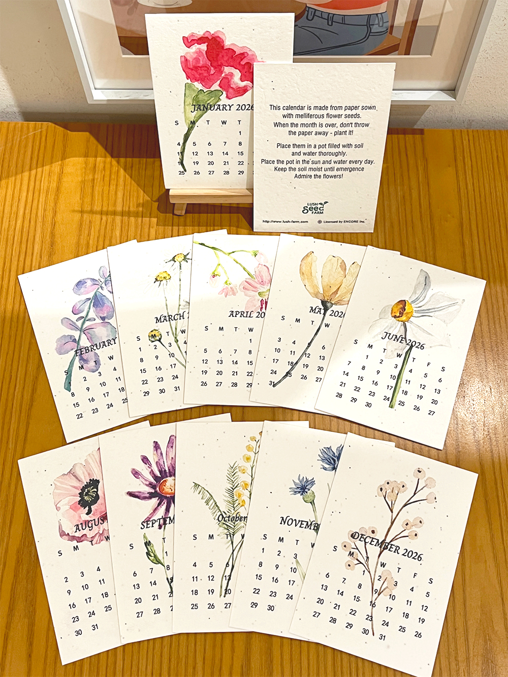 ✨New Arrivals 49% OFF Today🌱Eco-Friendly Plantable Seed Calendar 2026