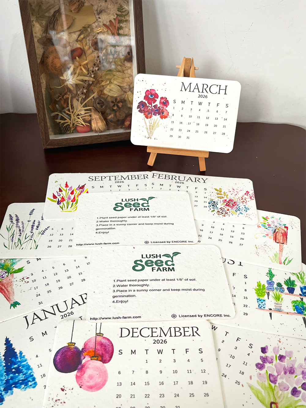 ✨New Arrivals 49% OFF Today🌱Eco-Friendly Plantable Love Seed Calendar 2026