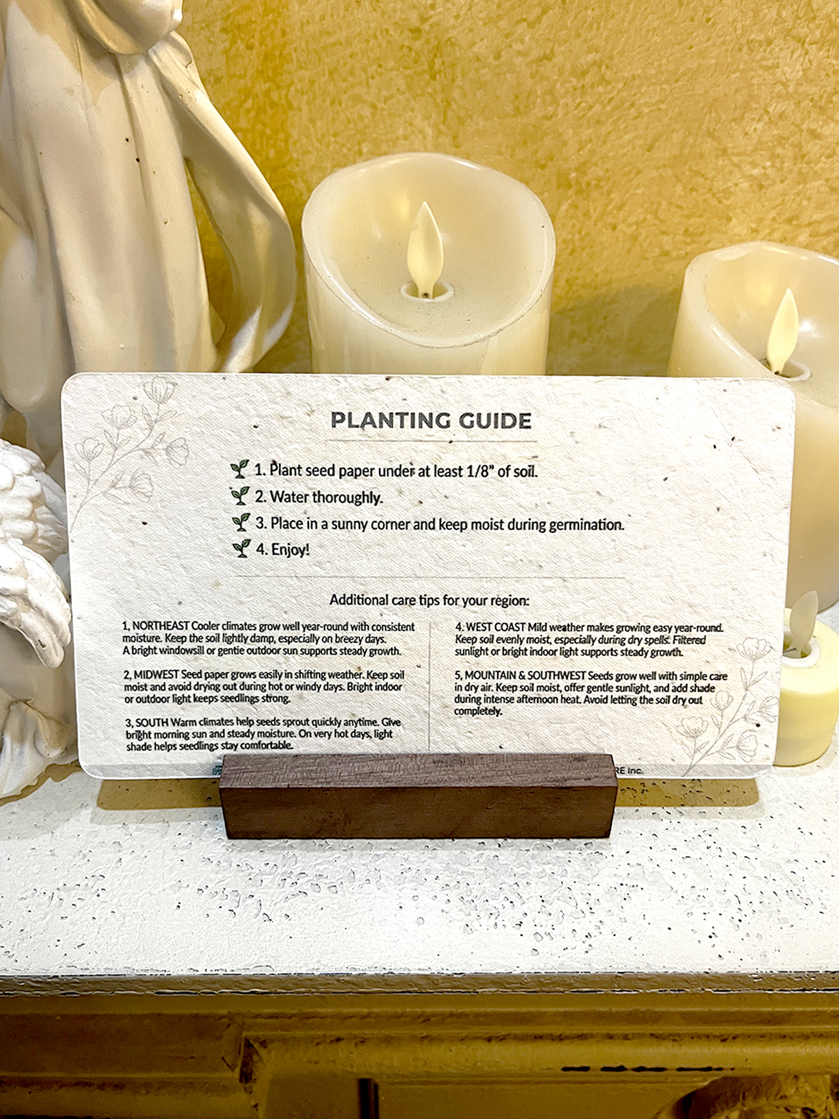 ✨New Arrivals 49% OFF Today🌱Plantable Habit Tracker Cards
