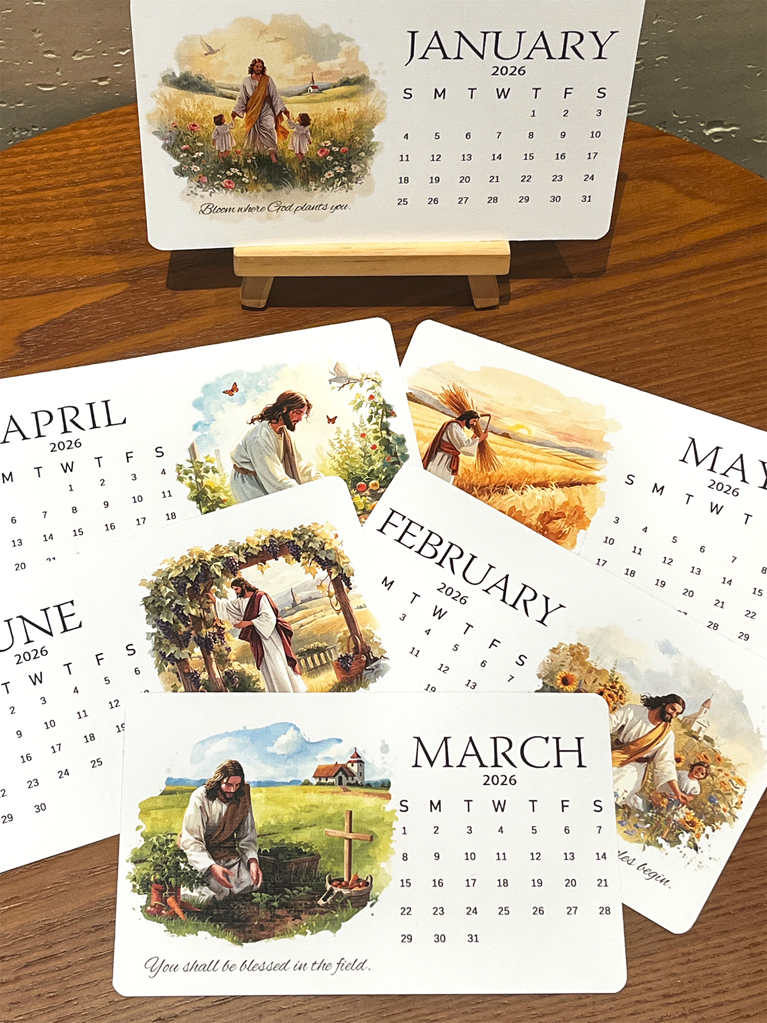 ✨Last Day 49% OFF ⏰ – 🌱Jesus-Inspired Plantable Seed Calendar 2026 – A Faithful Gift 🎁