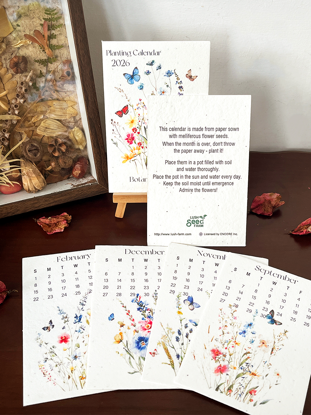 ✨New Arrivals 49% OFF Today🌱Eco-Friendly Plantable Seed Calendar 2026