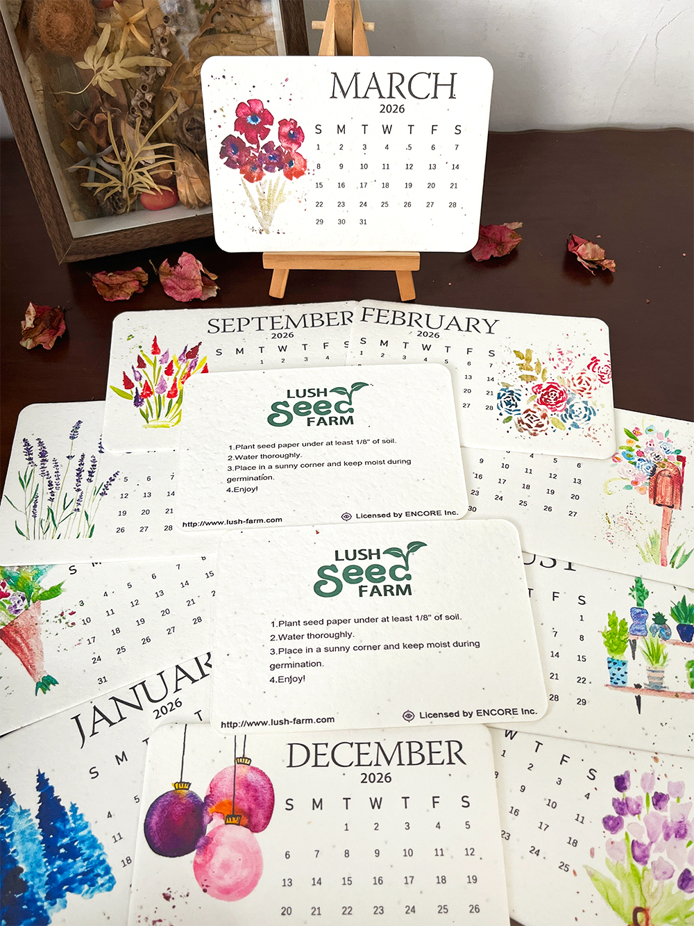 49% OFF Today🌱The 2026 Plantable Seed Calendar - 🎁 A Gift Everyone Loves