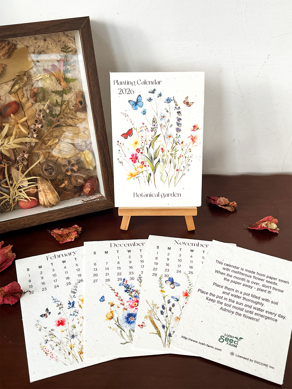 ✨New Arrivals 49% OFF Today🌱Eco-Friendly Plantable Seed Calendar 2026