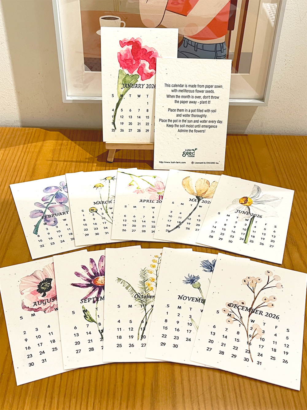 ✨New Arrivals 49% OFF Today🌱Eco-Friendly Plantable Seed Calendar 2026