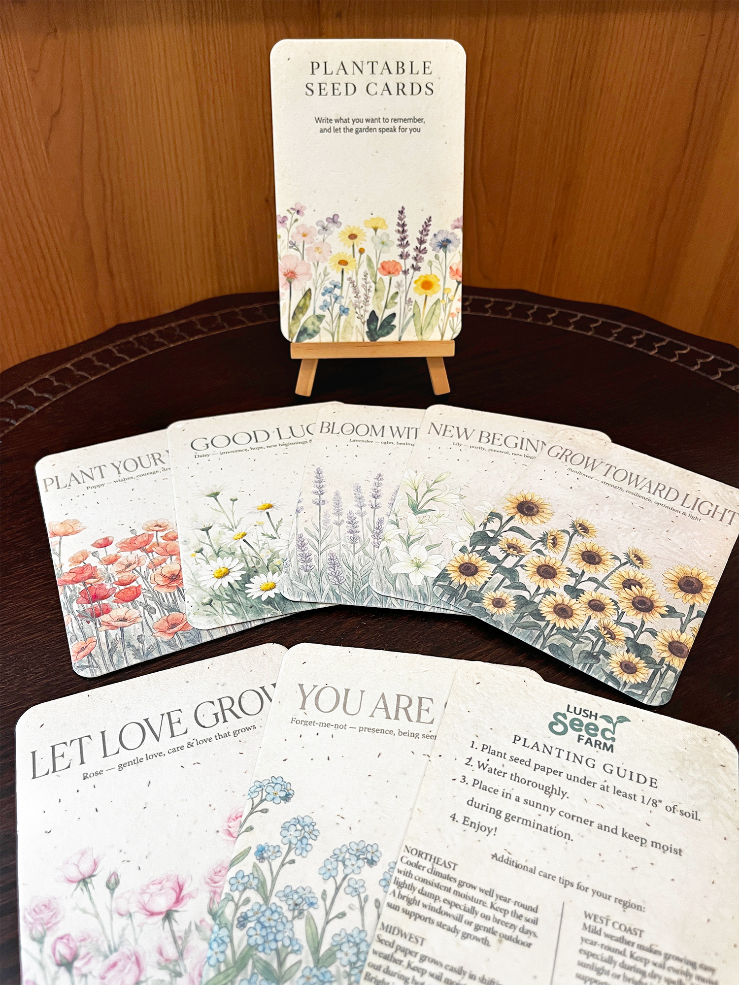 ✨Black Friday Sale 70% OFF🌱Plantable Seed Cards Set | Easy to Grow Year-Round