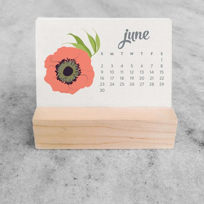 ✨Last Day 49% OFF⏰ - 🌱Plantable Seed Calendar 2025 - BUY 2 GET 1 FREE & FREE SHIPPING