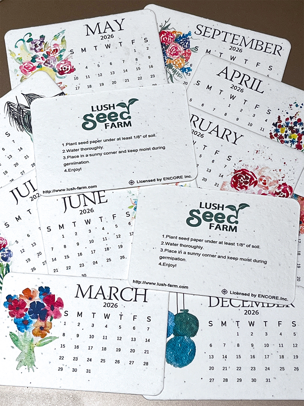 ✨Early Black Friday Sale 70% OFF🌱Eco-Friendly Plantable Seed Calendar 2026