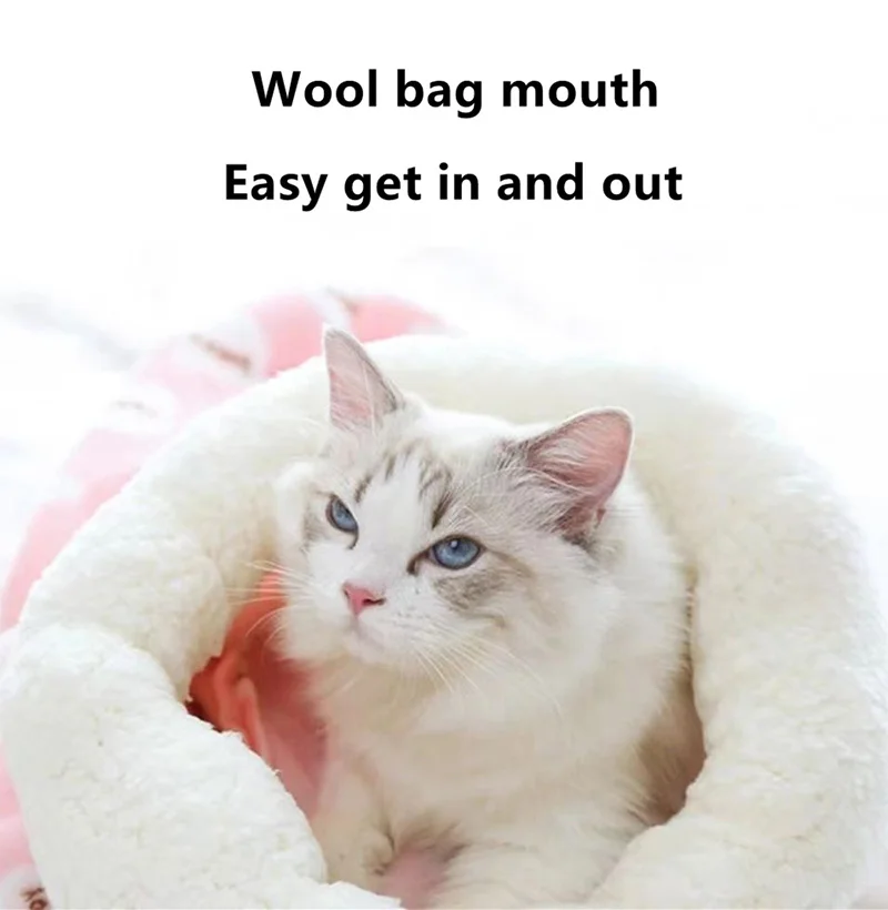Cat bed size and dimension guide