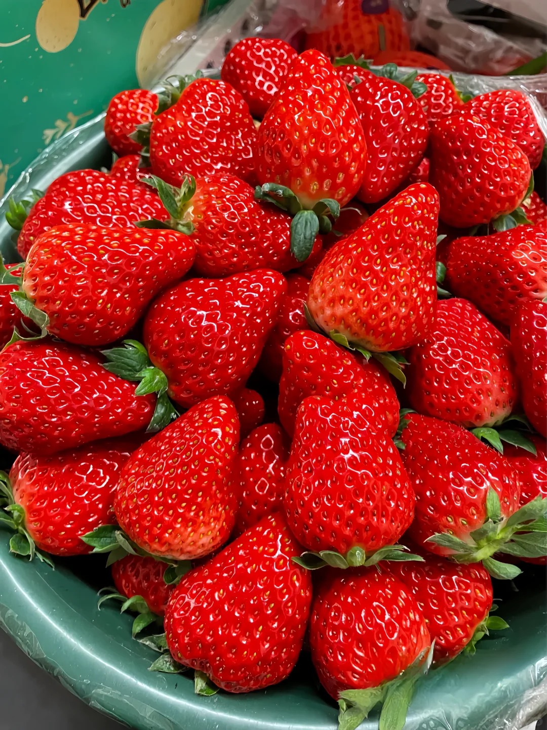 All-season Strawberry Seeds 🍓EverBloom Berries