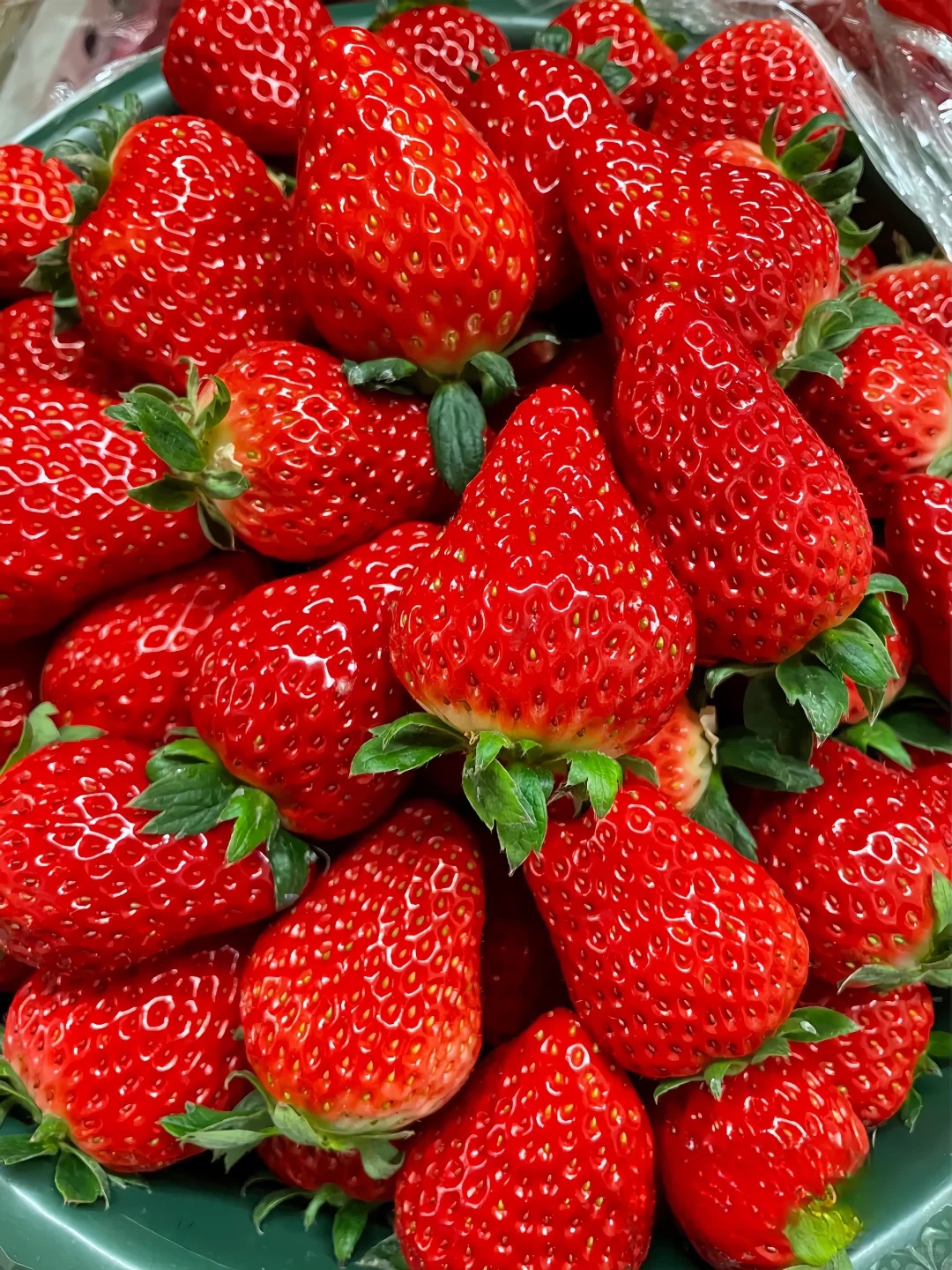 All-season Strawberry Seeds 🍓EverBloom Berries