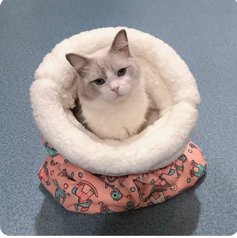 🔥 LAST DAY 50% OFF 🔥 WagBed™ - Cat Sleeping Bag Cave Bed (Extra Soft)