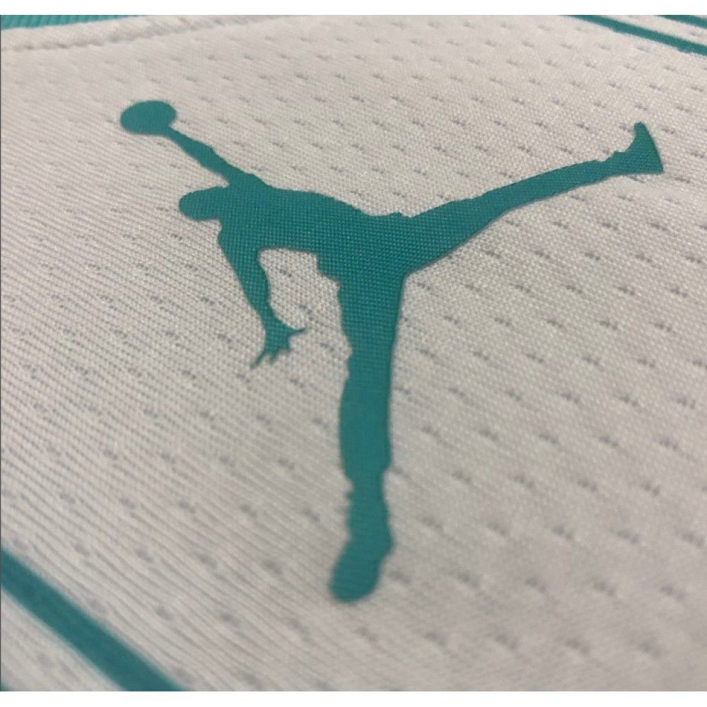 Men's Charlotte Hornets Hayward #20 White 20/21 Swingman Jersey Association Edition - view 3