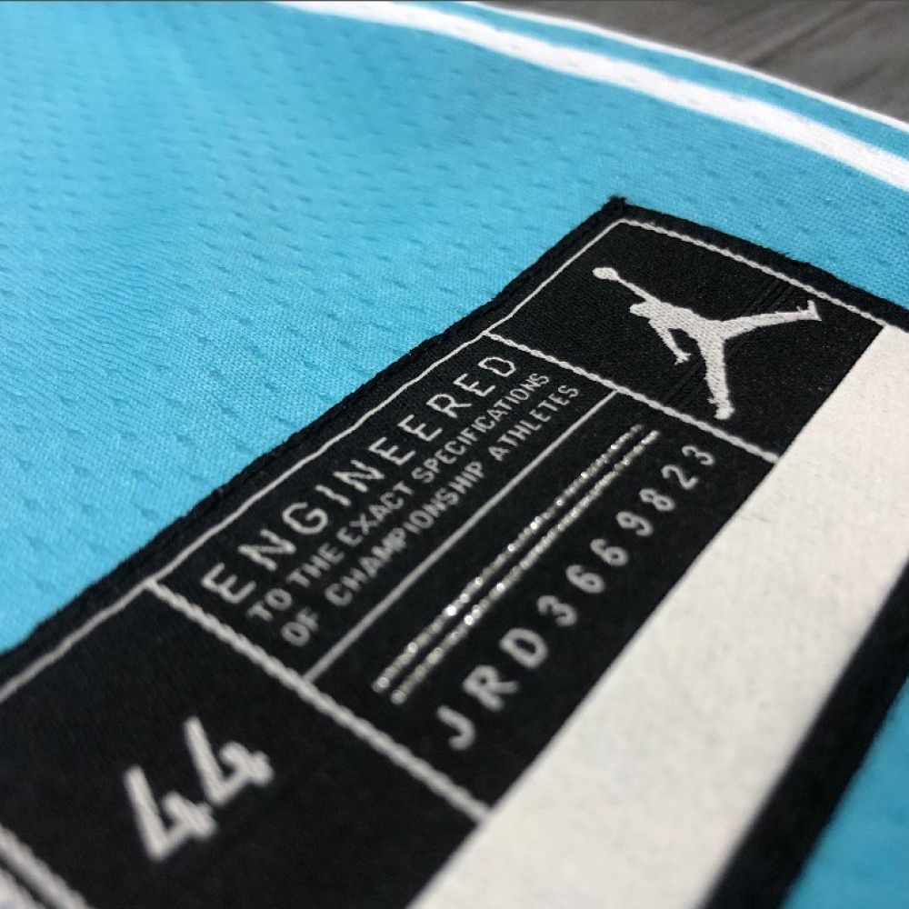 Men's Charlotte Hornets Hayward #20 Blue 20/21 Swingman Jersey Association Edition - view 2