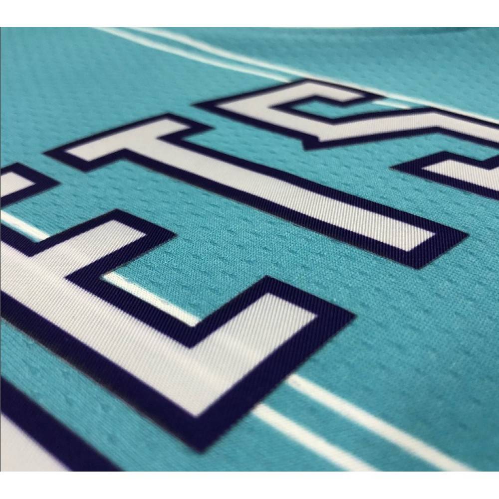 Men's Charlotte Hornets Hayward #20 Blue 20/21 Swingman Jersey Association Edition - view 3