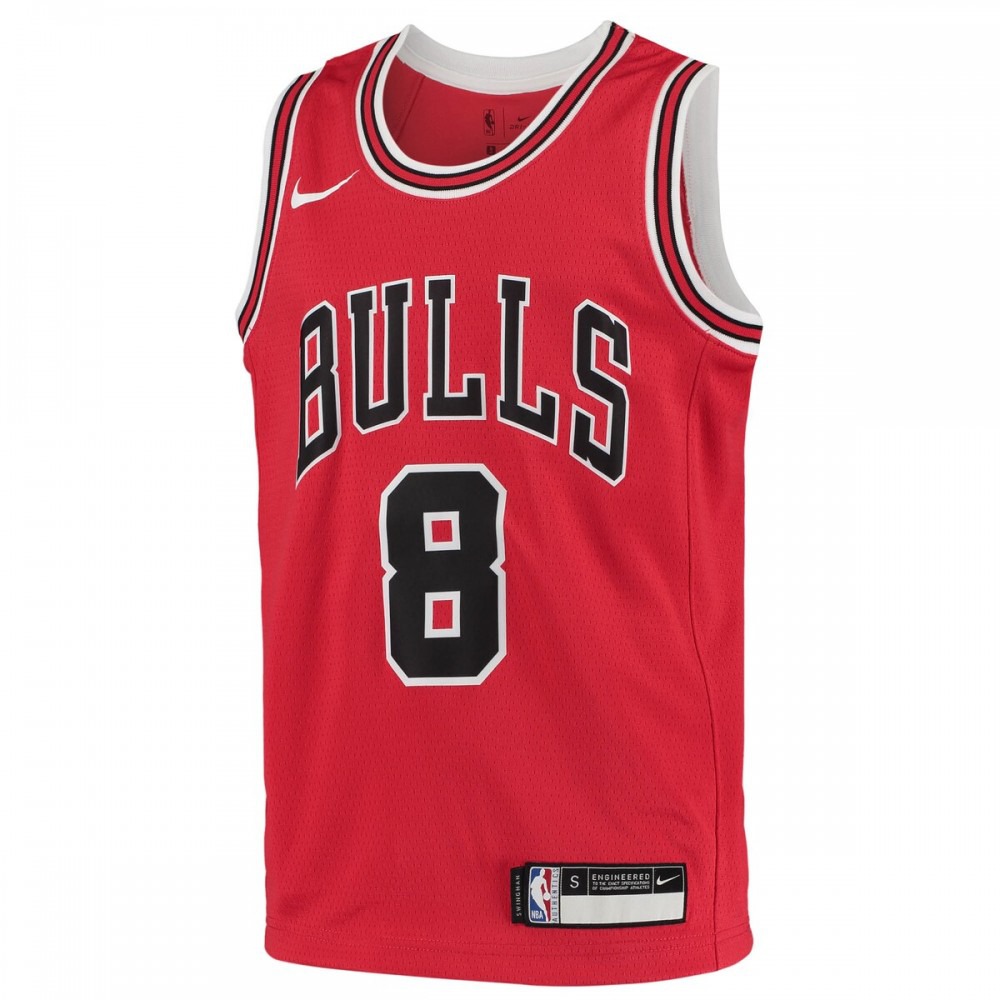 Zach LaVine Chicago Bulls Youth 2020/21 Swingman Jersey Icon Edition Red - view 2
