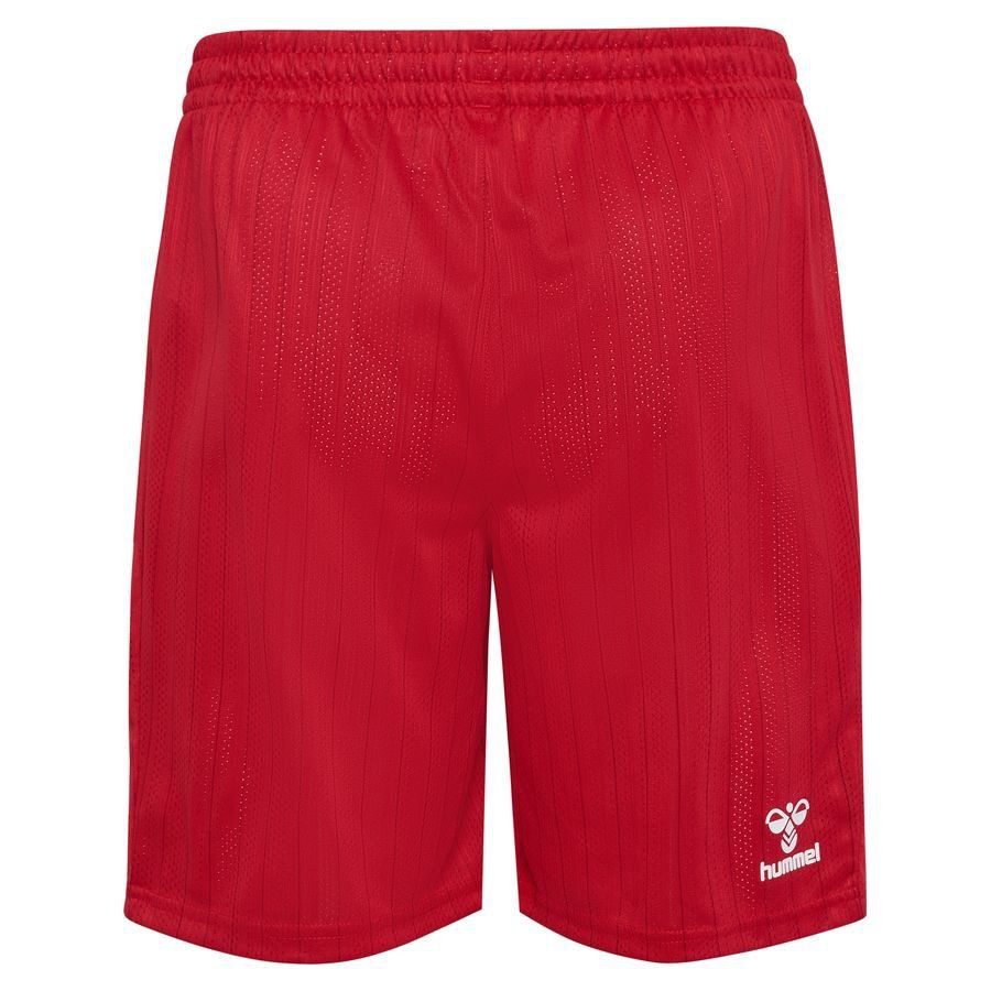Denmark Away Shorts 2026/27 Pro - view 2