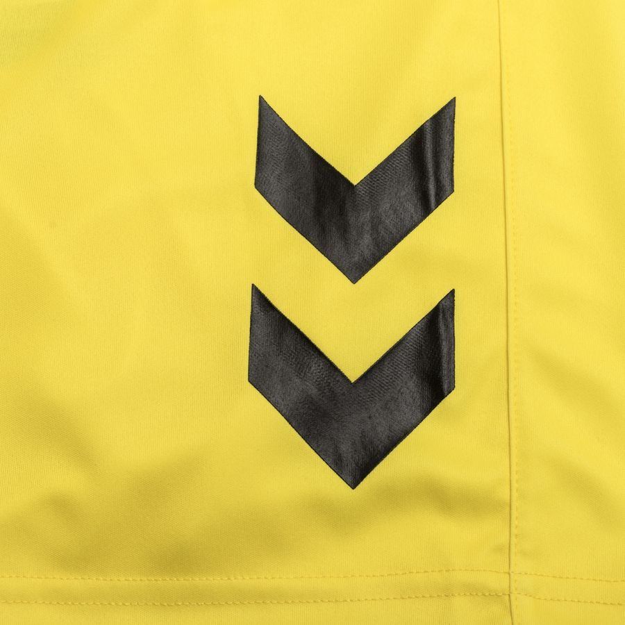 Denmark Goalkeeper Shorts 2023/24 - view 3