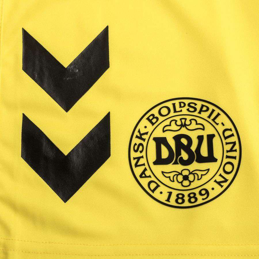 Denmark Goalkeeper Shorts 2023/24 - view 4