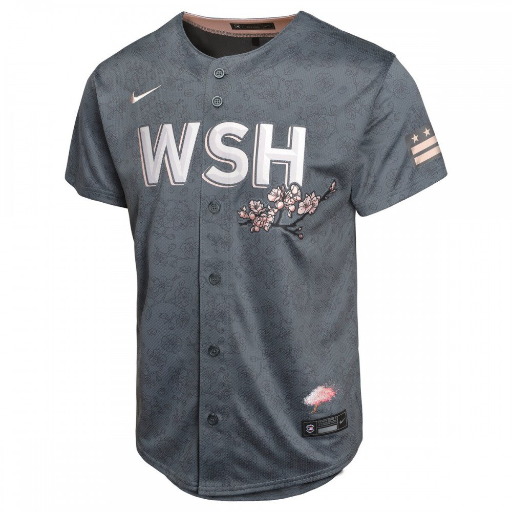 Washington Nationals Youth City Connect Limited Jersey Charcoal - view 2