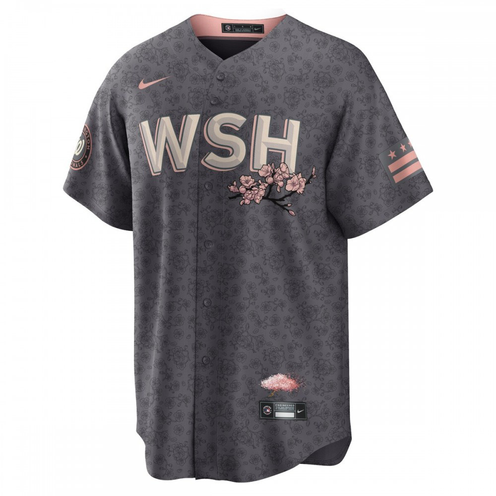Washington Nationals 2022 City Connect Replica Jersey Gray - view 2