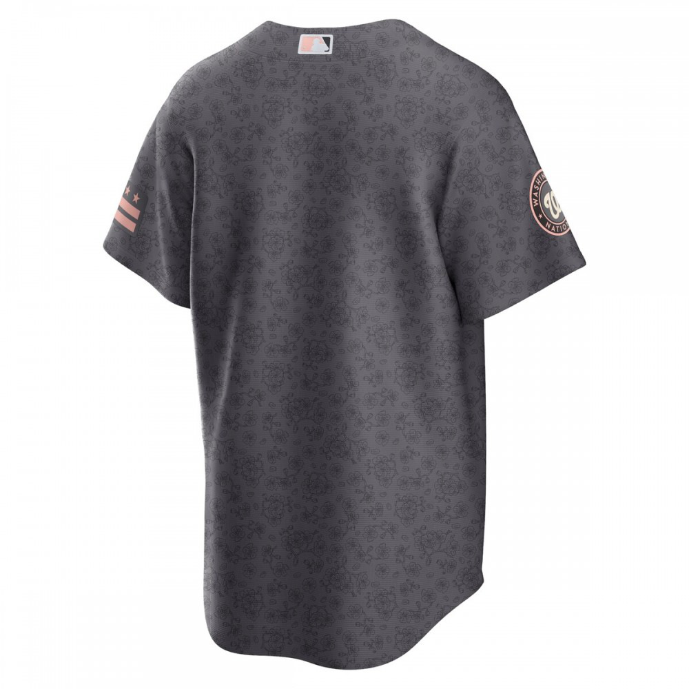 Washington Nationals 2022 City Connect Replica Jersey Gray - view 3