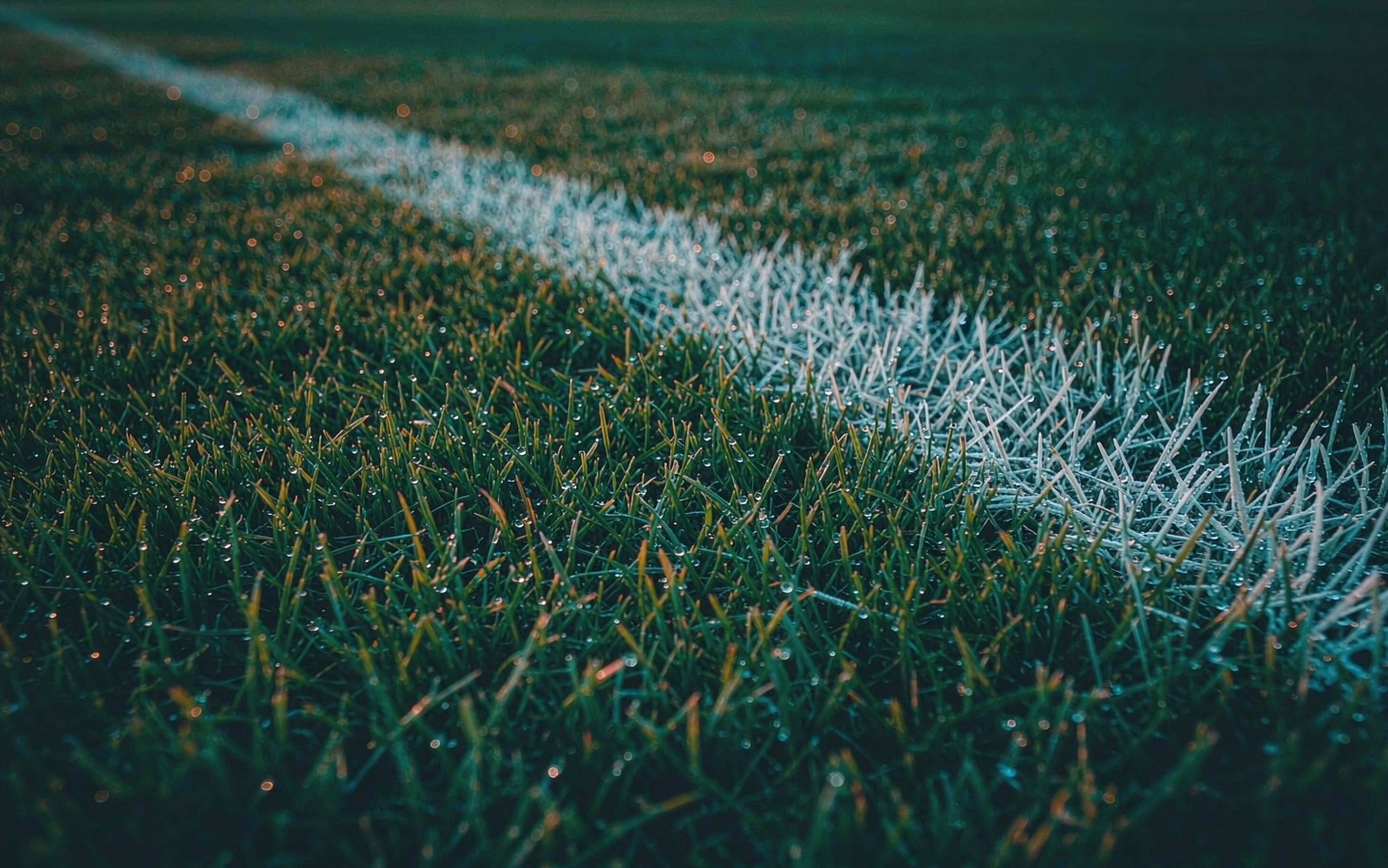 Close-up of night-time pitch grass with a crisp white touchline