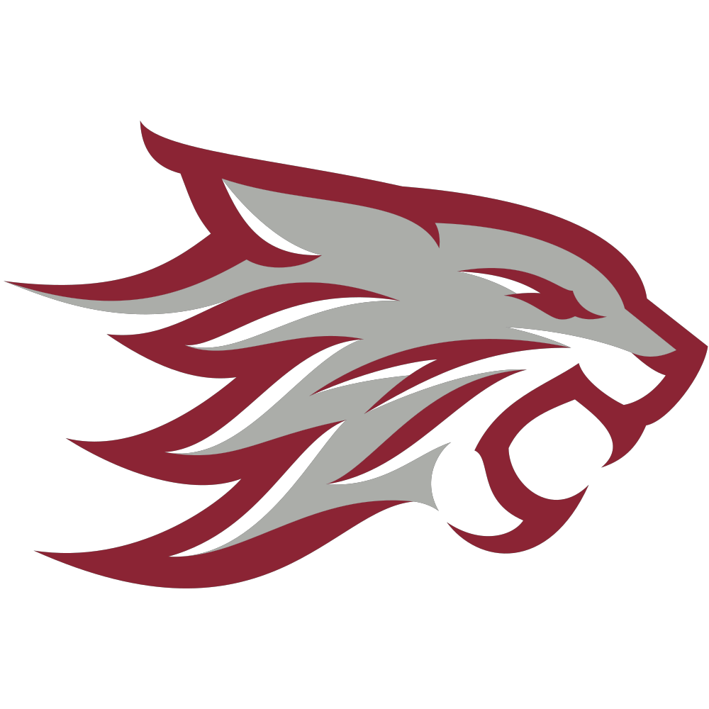 Cal State Chico Wildcats logo