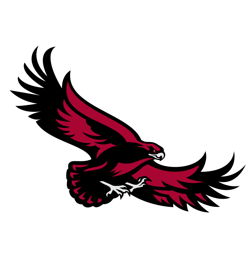 Saint Josephs Hawks logo